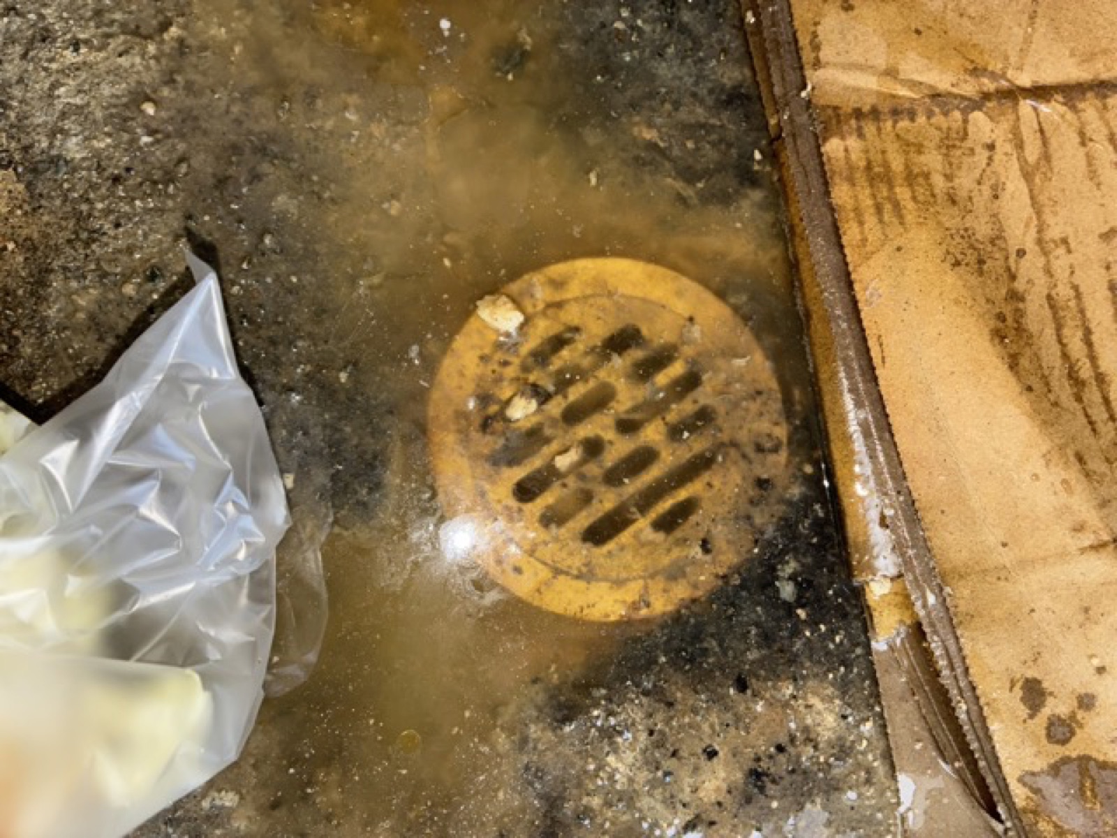 飲食店舗の排水管洗浄前